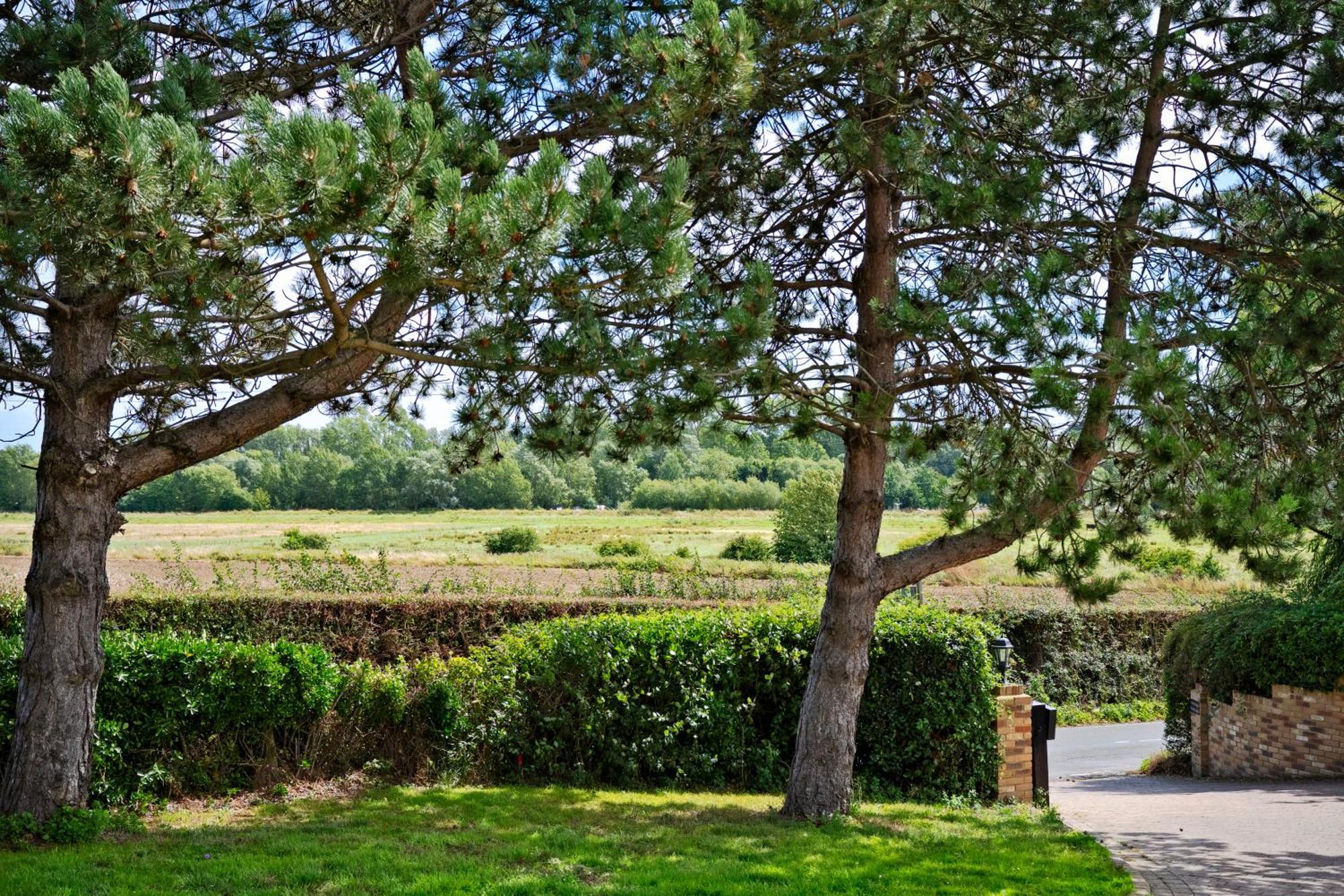 Owlet Lodge Chislet Exterior foto